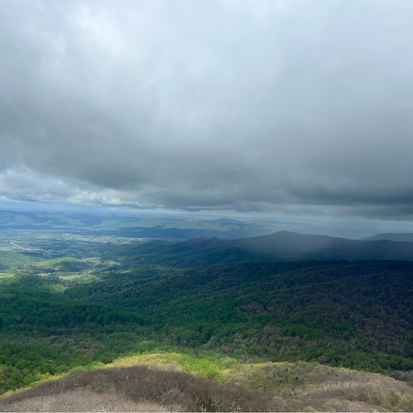 Meet your Posher, Samantha - Picture 5 of 17